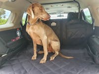 Pawmanity Cargo Liner