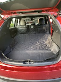 Pawmanity Cargo Liner