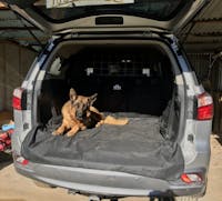 Pawmanity Cargo Liner