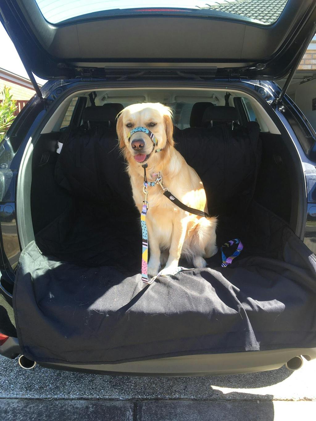 SUV Access Liner for Dogs Luxury Pet Travel Pawmanity