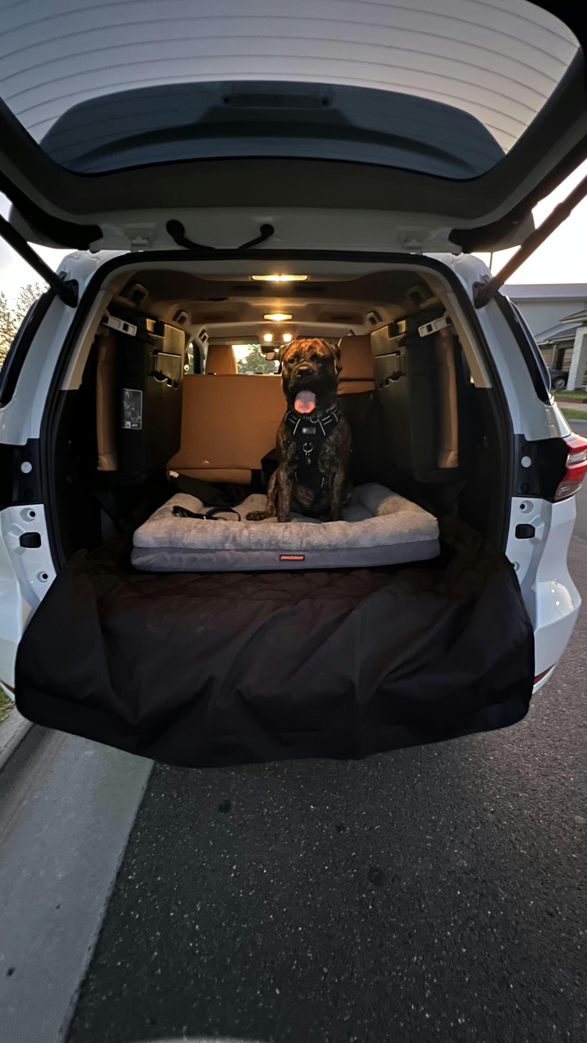 SUV Access Liner for Dogs Luxury Pet Travel Pawmanity