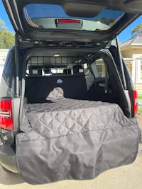 Pawmanity Classic Liner