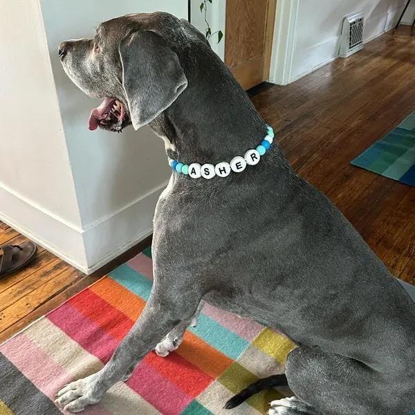 Pawpaya