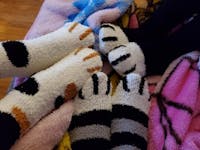 PawPrint Fuzzy Socks