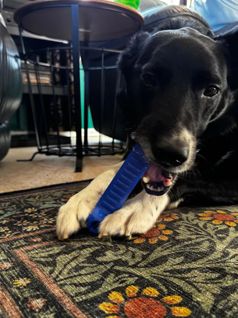 Custom Slow Feeder Dog bone