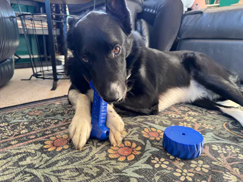 Custom Slow feeder Tyre