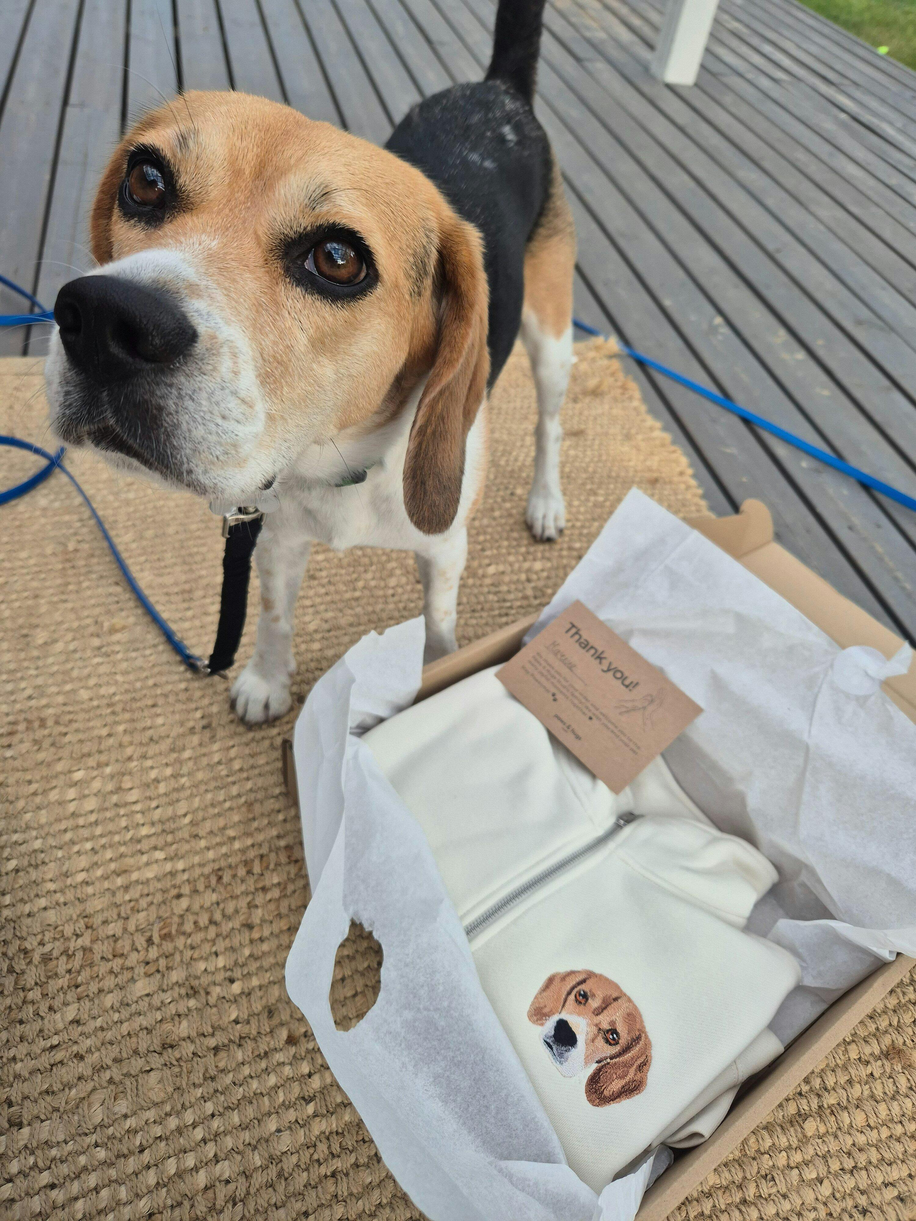 ◇新品◇【AMERICANA】 HALF SLEEVE SWEAT ベージュ AURALEE ELASTIC HIGH GAUGE SWEAT HALF SLEEVE P/O – Chum!