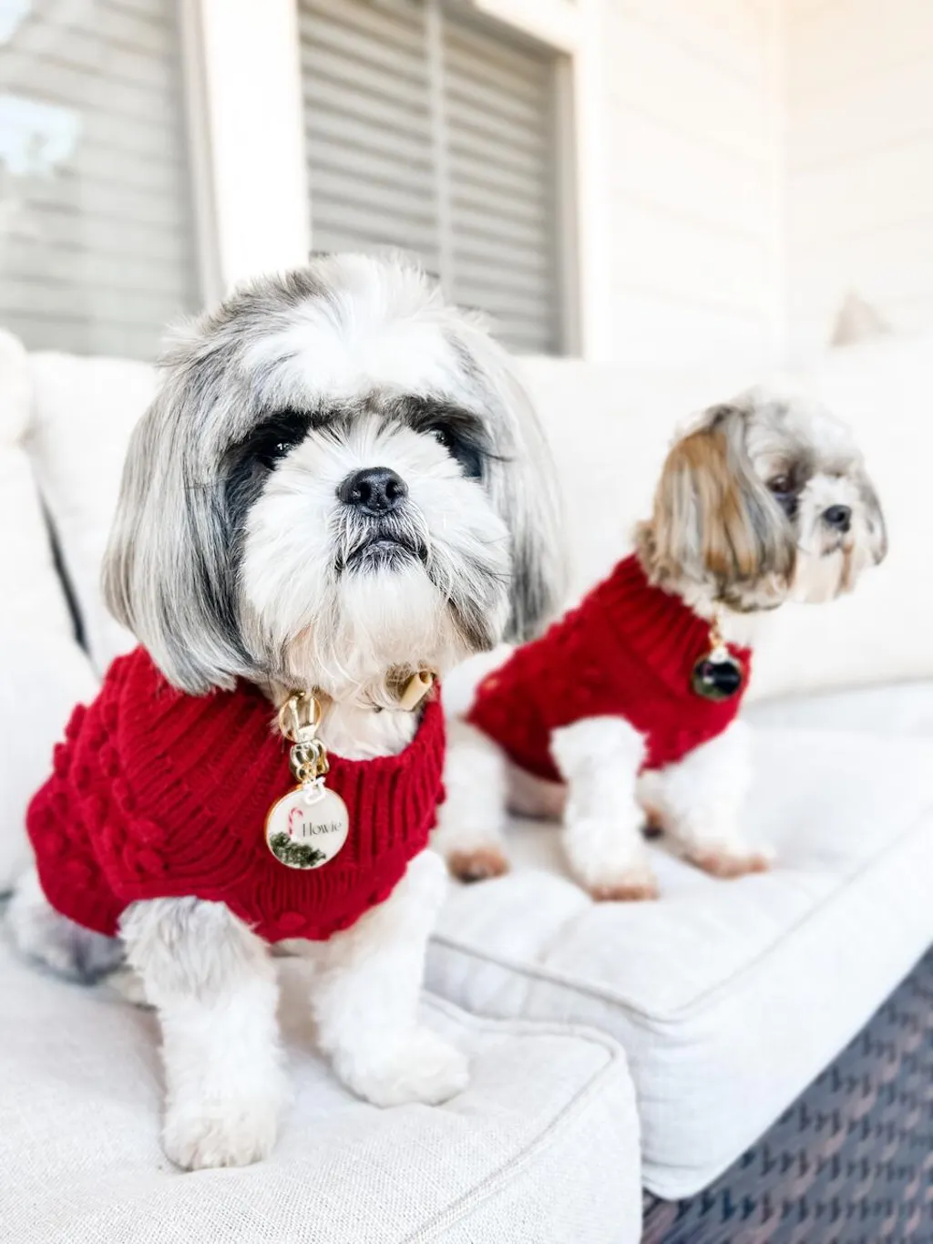 Heartknit Sweater - Red Velvet – Pawshion by Gigi