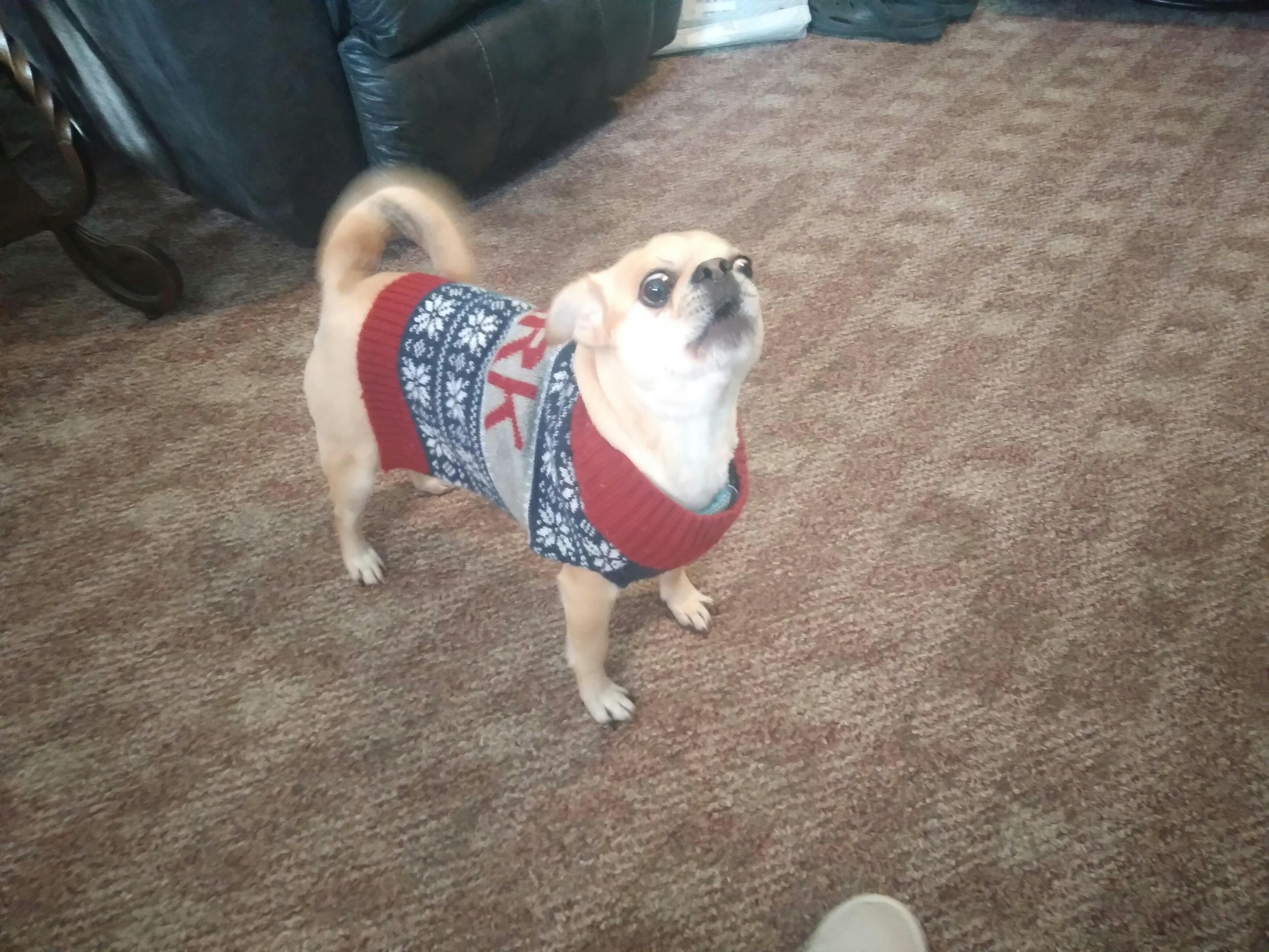 Holiday With Pets Personalized Custom 1layered Wood Ornament