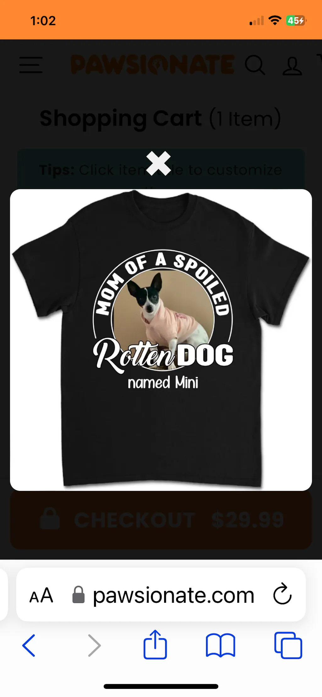 Pop Art Spoiled Dog - Personalized Custom Long Sleeve T-shirt