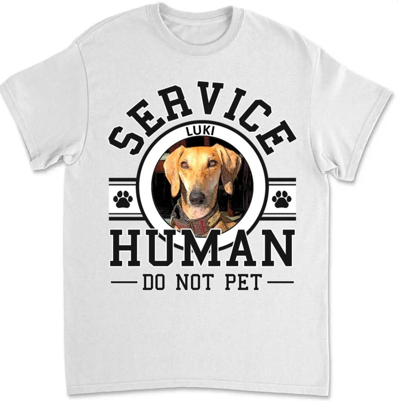 Controllare Che Tratta Un Cane Di Animale Domestico Immagine Stock - Foto 3