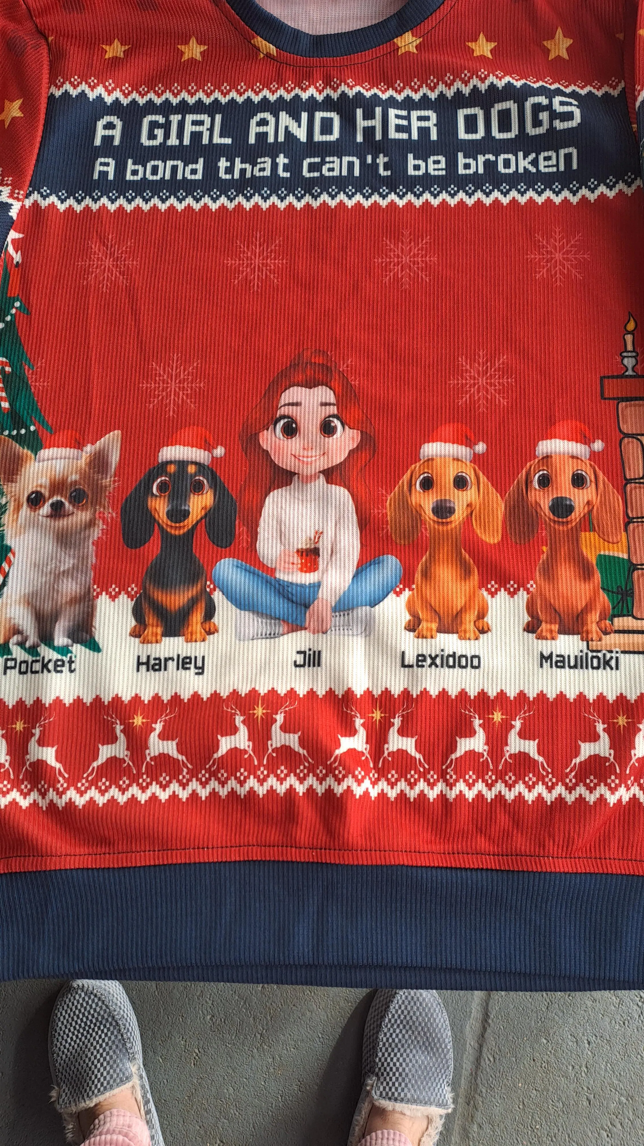 Dog And Holiday Photo - Personalized Custom All-Over-Print Sweatshirt