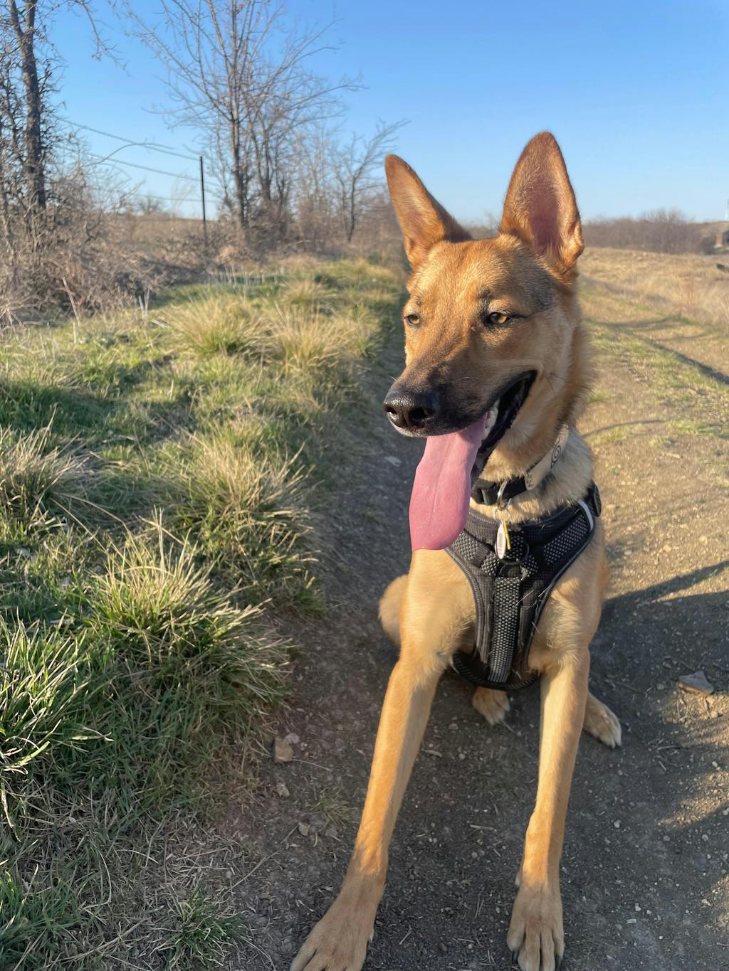 Hidden Leaf Village Ninja Collar