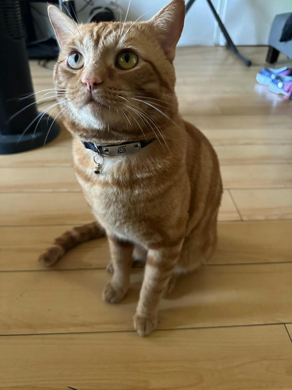 Hidden Leaf Village Ninja Collar