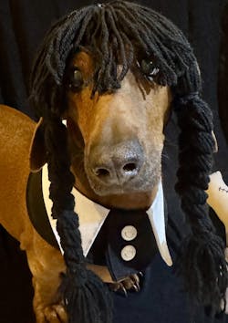 The Pawlité Accessory Set