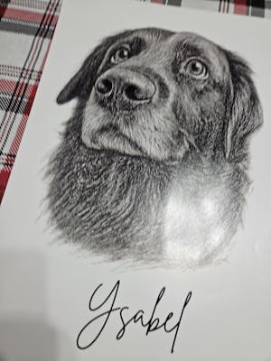 Charcoal Pet Portrait - Personalized Poster, Pet Drawing Portrait Gift