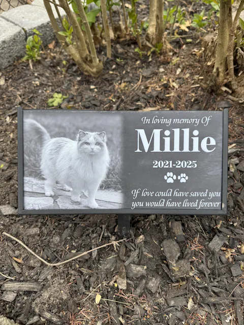 If Love Could Have Saved You - Personalized Granite Headstone With Stand , Memorial Gift, Sympathy Gift For Loss Of Pet