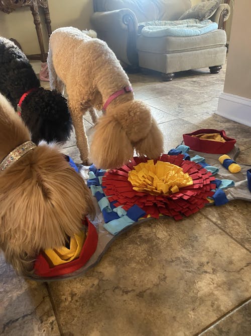 Challenger Bone™ Snuffle Mat