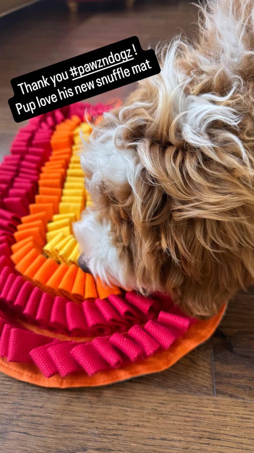Fire & Ice™ AntiBite (Fire) Snuffle Mat