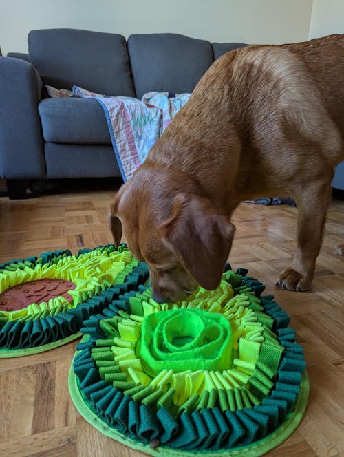 Delicious Avocado™ AntiBite Snuffle Mat
