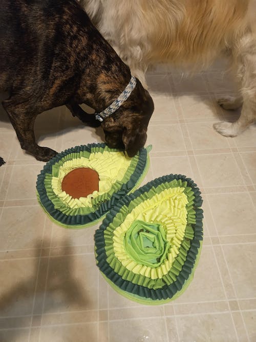 Delicious Avocado™ AntiBite Snuffle Mat