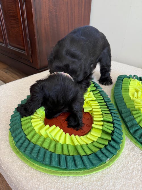 The Beauty & Utility Bundle | Level 3