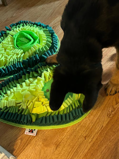 Delicious Avocado™ AntiBite Snuffle Mat