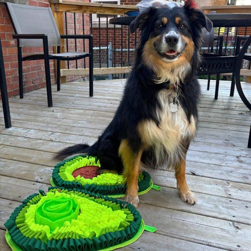 Delicious Avocado™ AntiBite Snuffle Mat