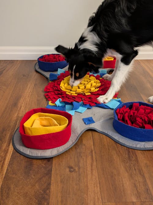 Challenger Bone™ Snuffle Mat