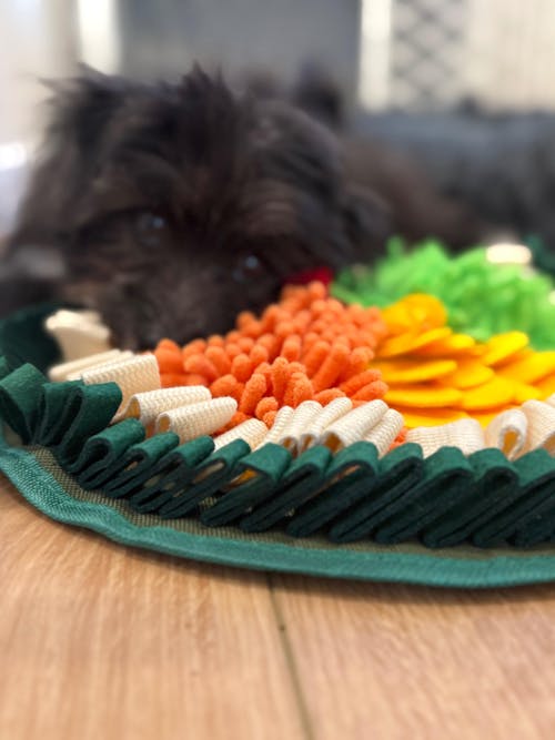 Hot Sushi Roll by LuvMyFido