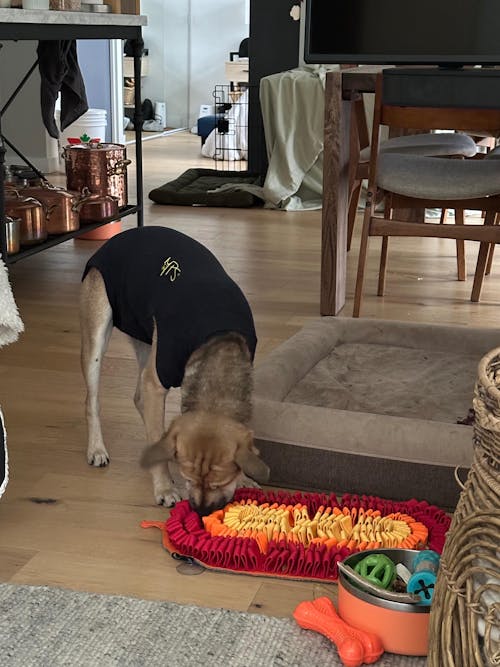 Fire & Ice™ AntiBite (Fire) Snuffle Mat