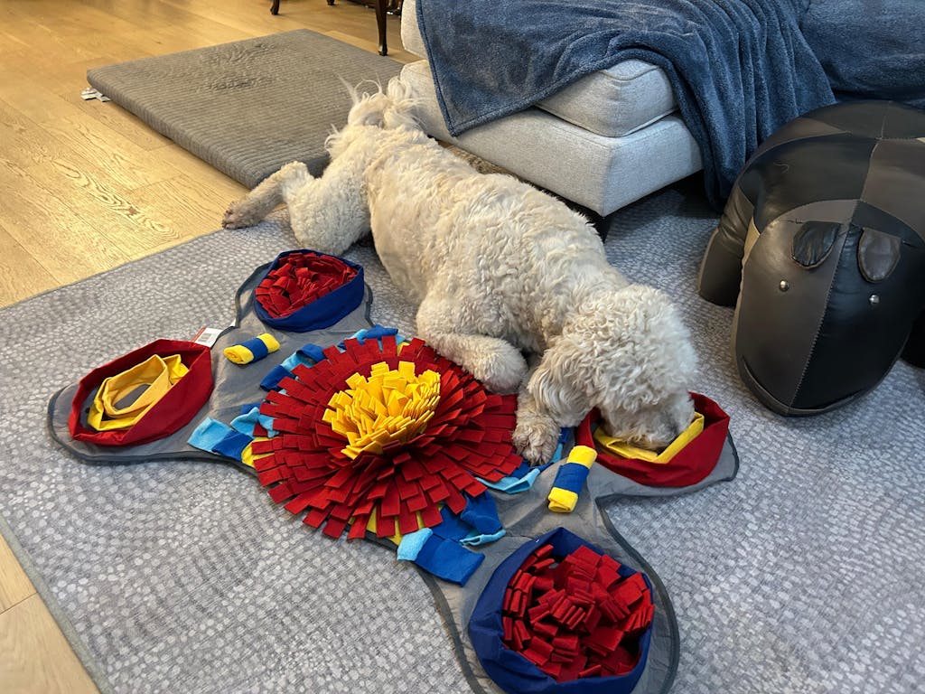 The Ultimate Challenger Bundle | Level 4