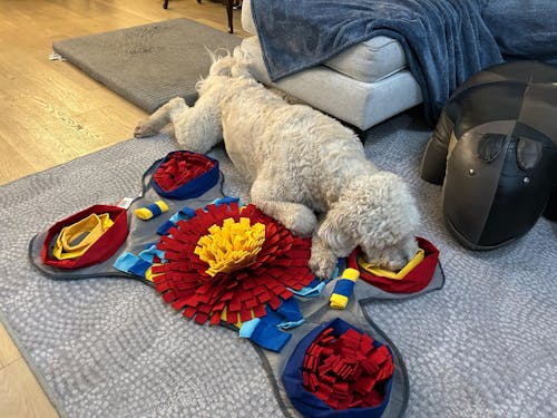 The Ultimate Challenger Bundle | Level 4