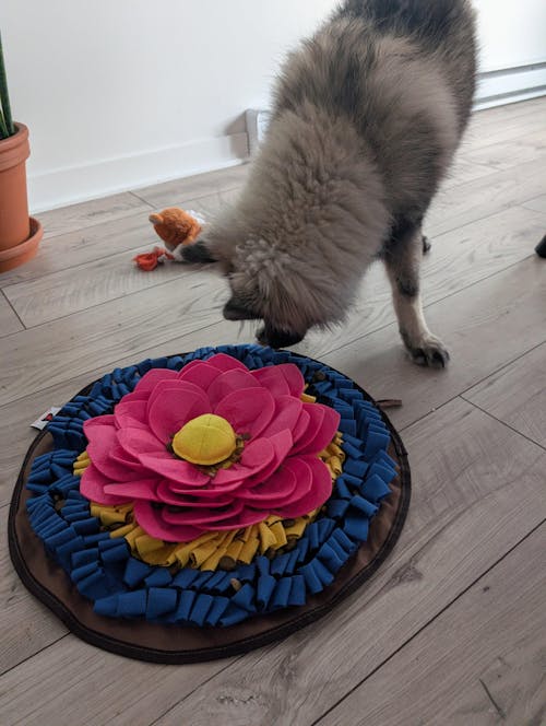 Divine Lotus™ AntiBite Snuffle Mat