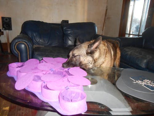 Forbidden Grapes™ Snuffle Mat