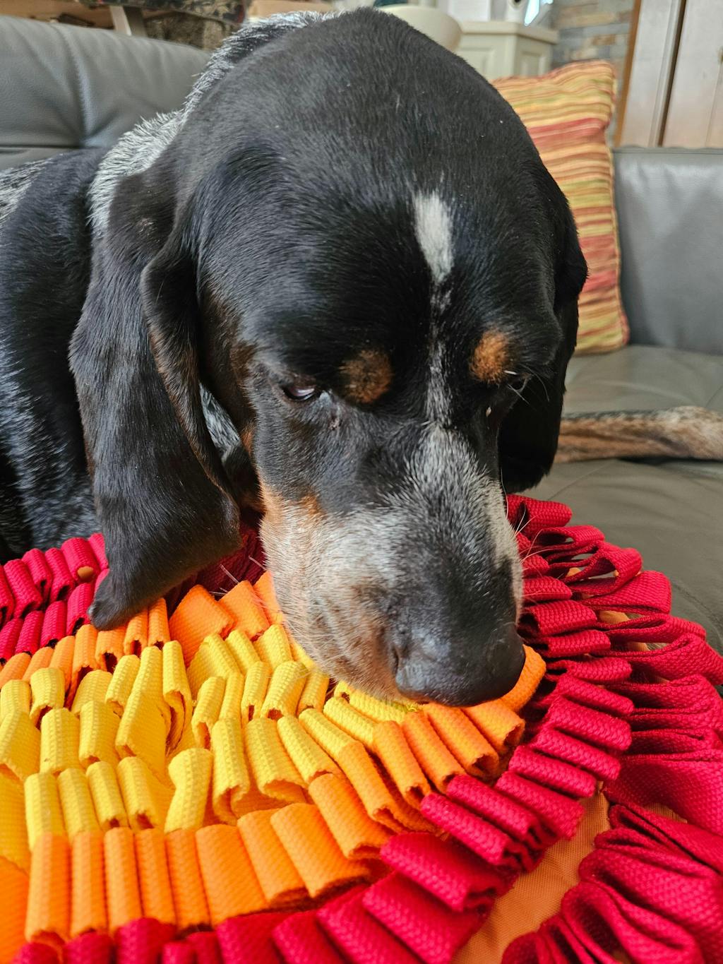 Fire & Ice™ AntiBite (Fire) Snuffle Mat