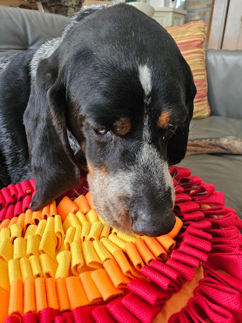 Fire & Ice™ AntiBite (Fire) Snuffle Mat