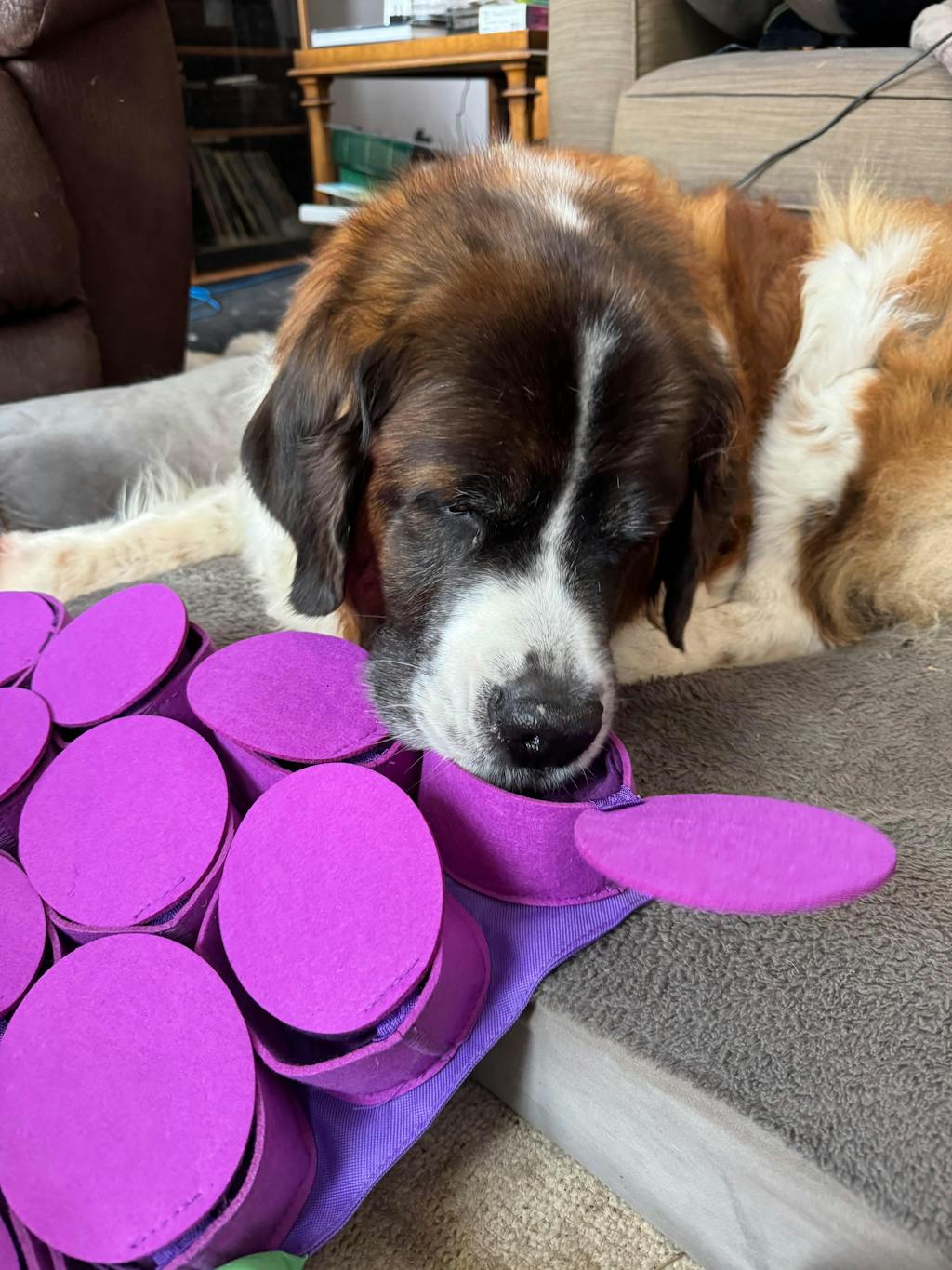 Forbidden Grapes™ Snuffle Mat