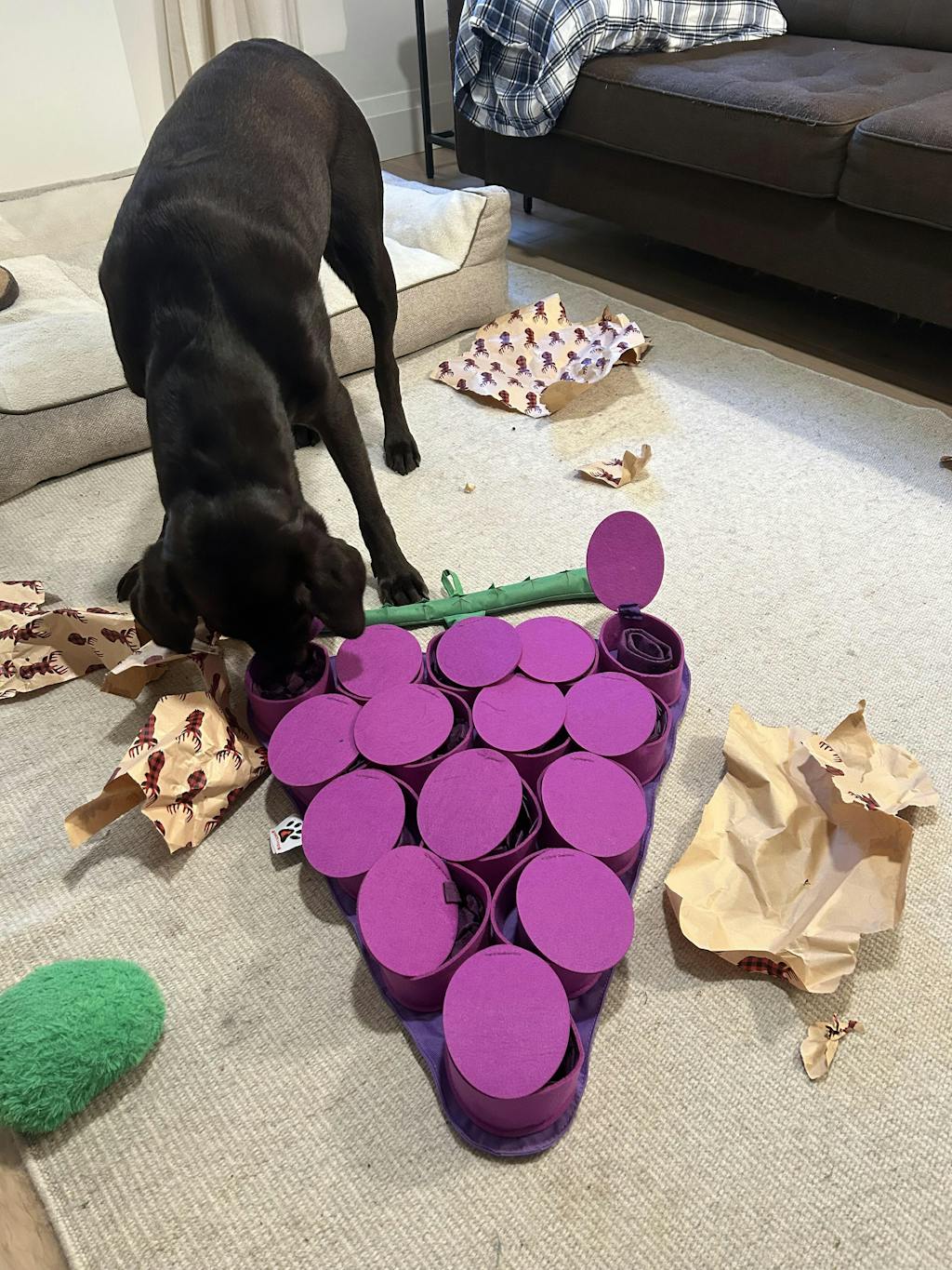 Forbidden Grapes™ Snuffle Mat