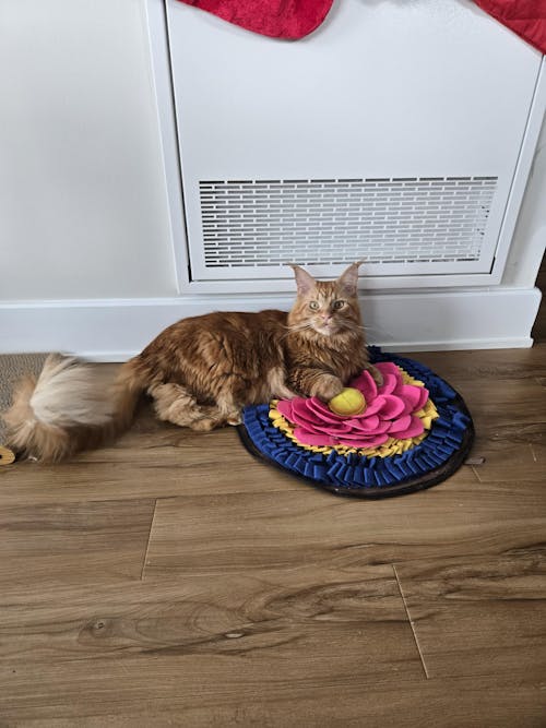 Divine Lotus™ AntiBite Snuffle Mat