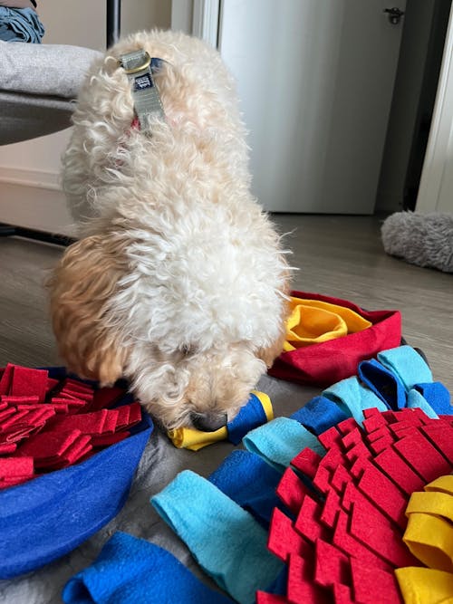 Challenger Bone™ Snuffle Mat