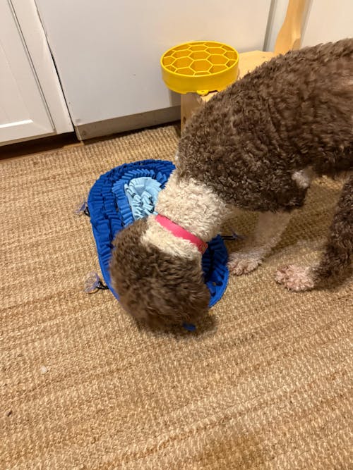 Fire & Ice™ AntiBite (Fire) Snuffle Mat