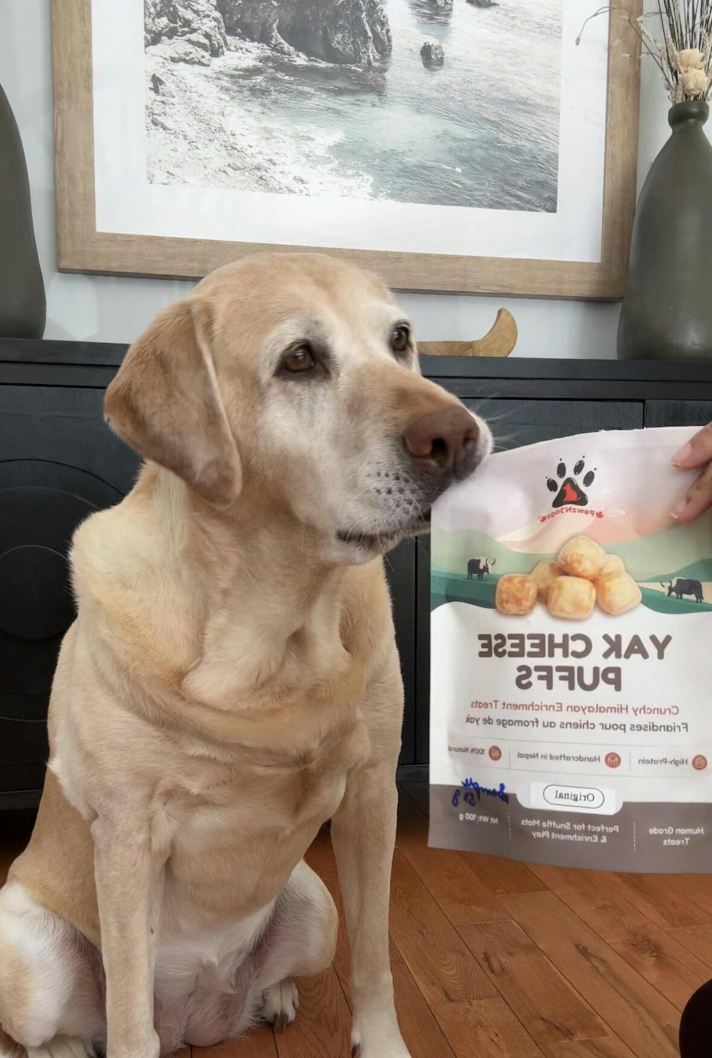 Yak Cheese Puffs for Dogs – Original