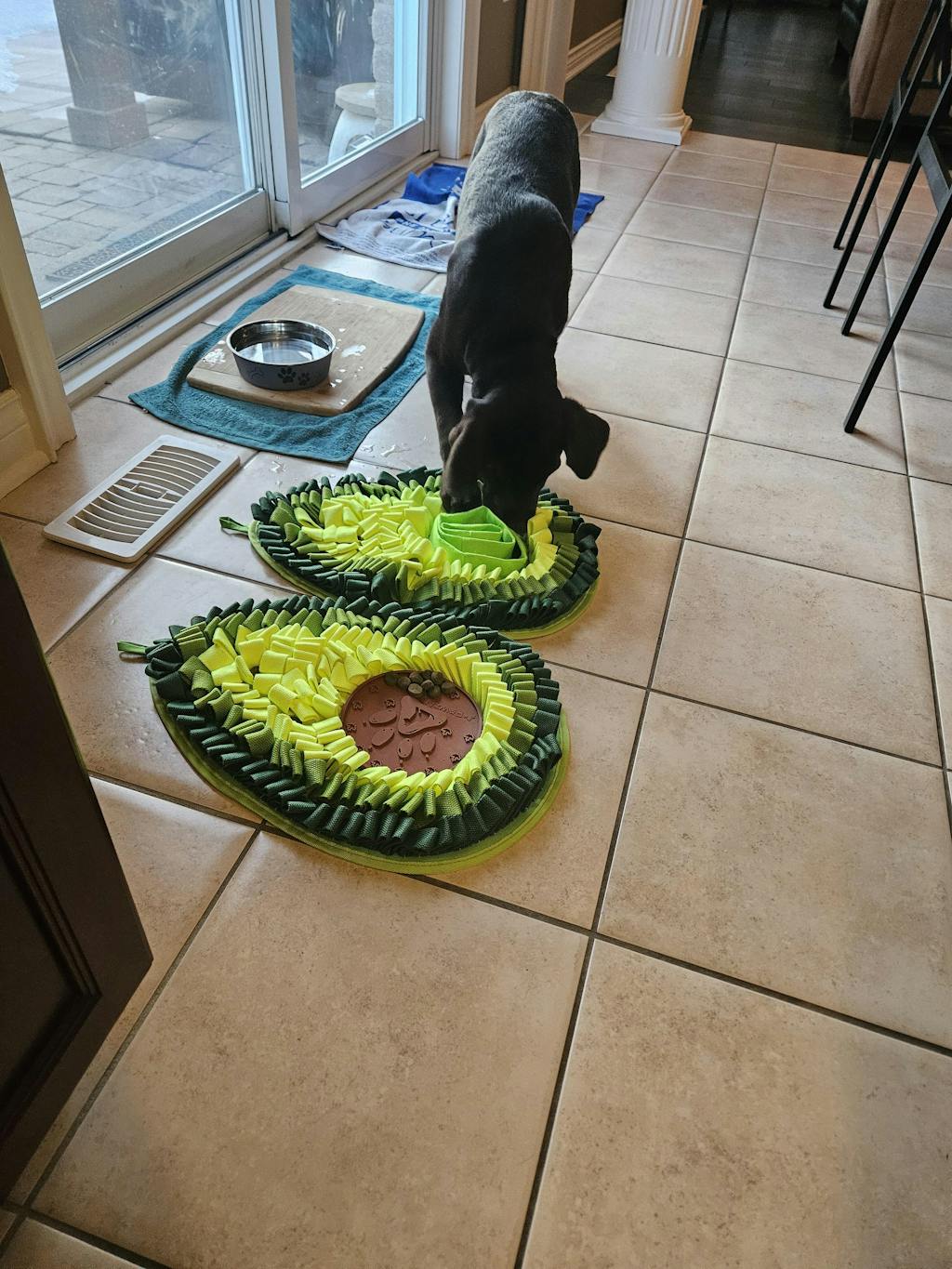 Delicious Avocado™ AntiBite Snuffle Mat