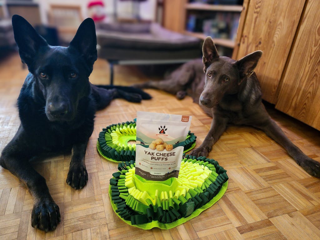 Yak Cheese Puffs for Dogs – Pumpkin