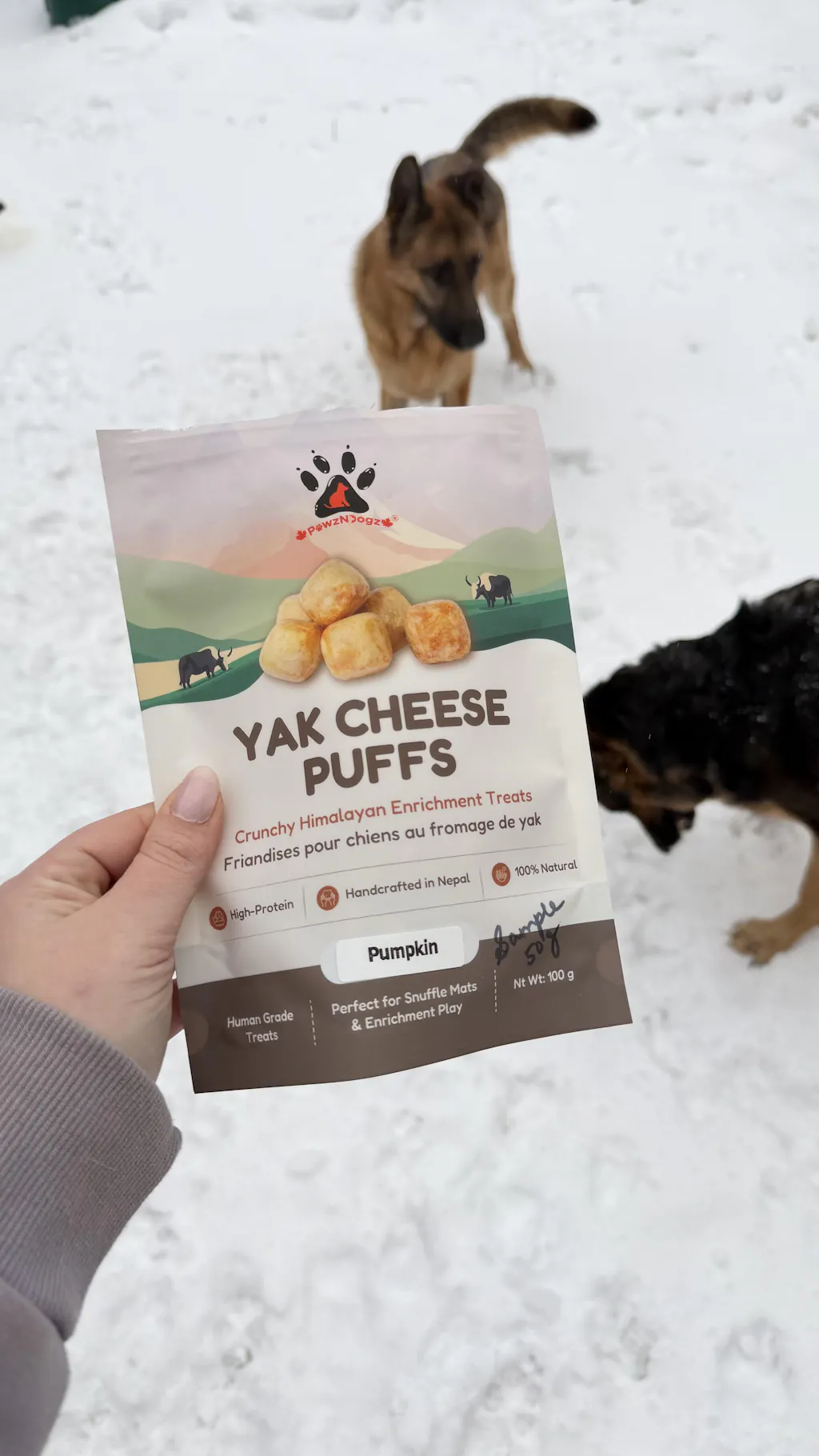 Yak Cheese Puffs for Dogs – Pumpkin
