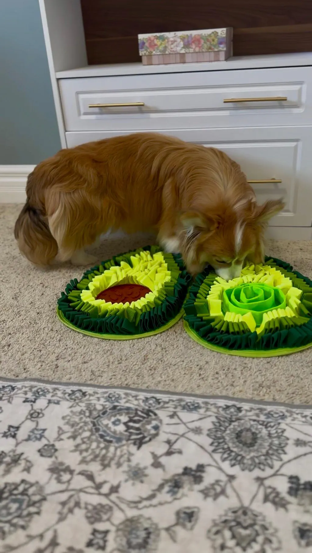 Delicious Avocado™ AntiBite Snuffle Mat