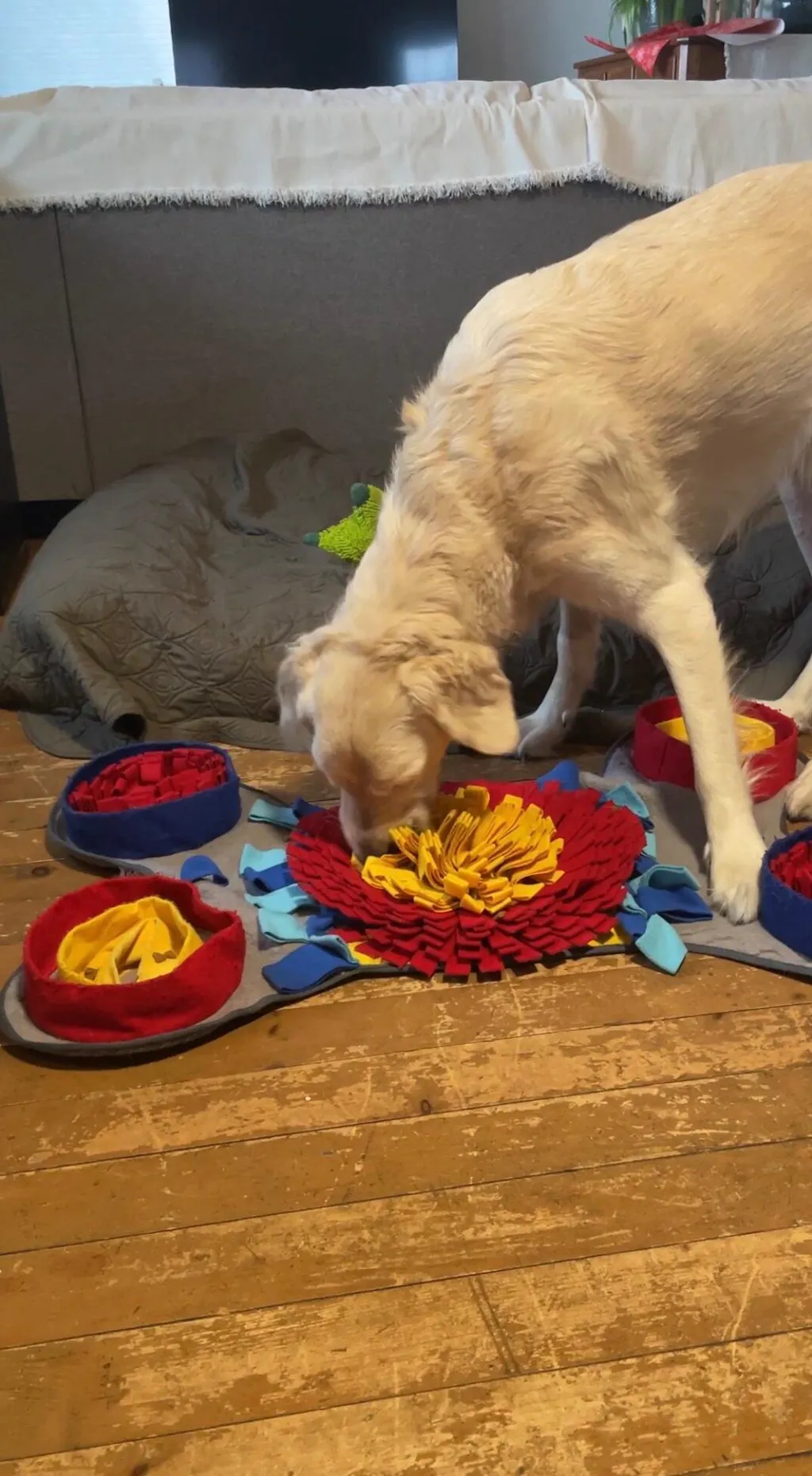 Challenger Bone™ Snuffle Mat