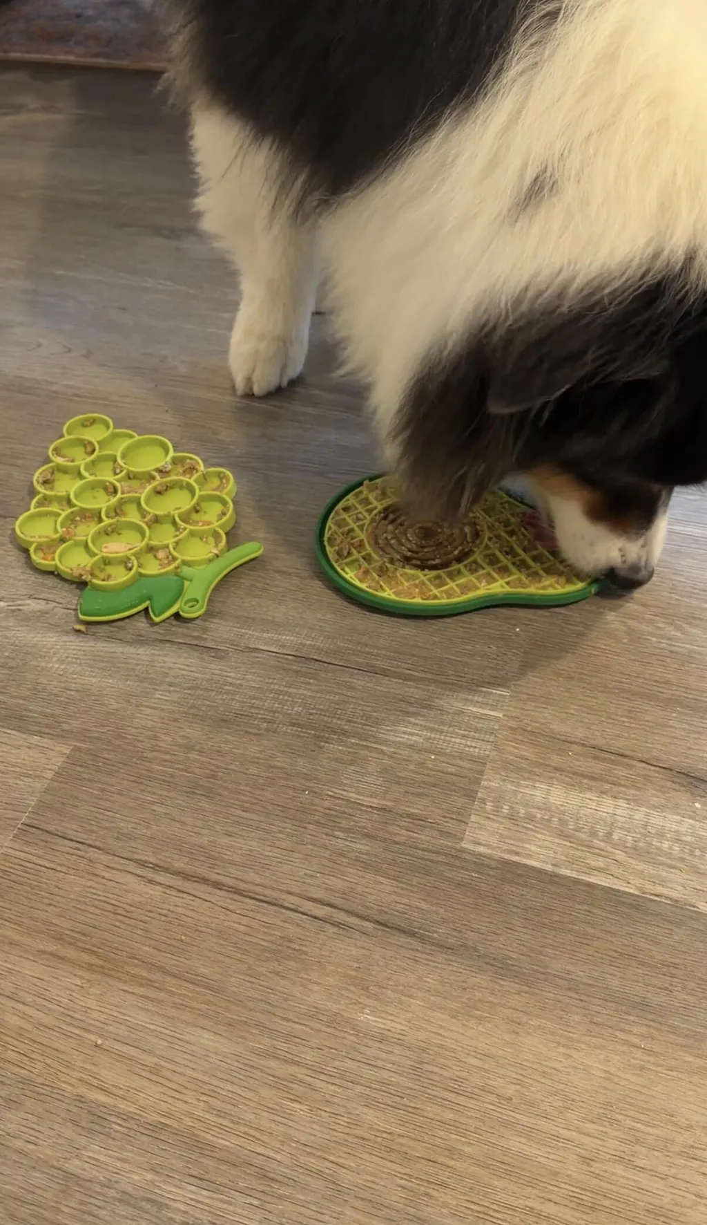 Fire & Ice™ AntiBite (Ice) Snuffle Mat