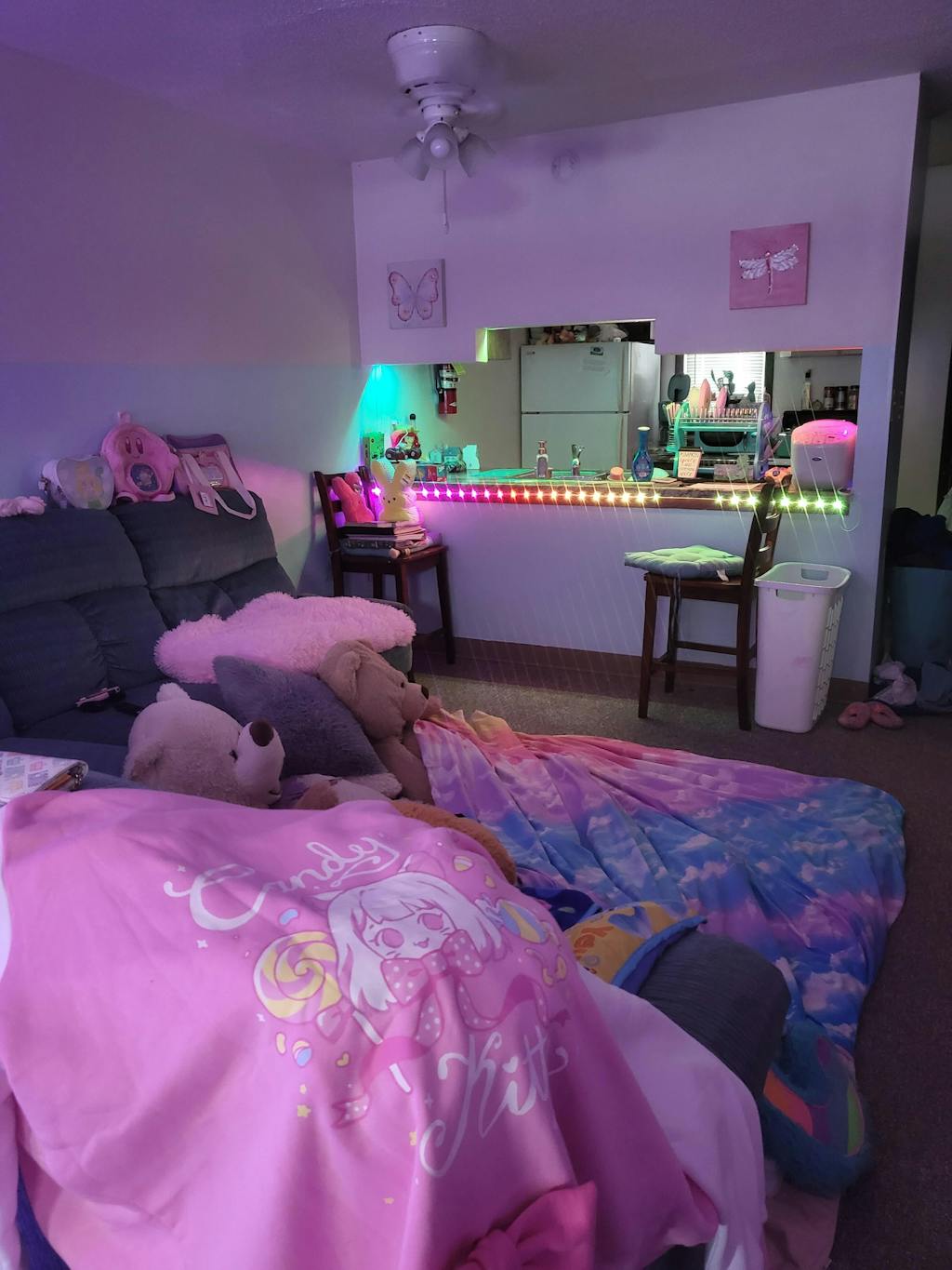 Candy Kitty Hoodie (limited)